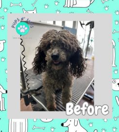 Pups N Suds Dog Grooming Spa