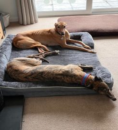 Sighthound Stopovers