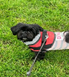 waggy walks gainsborough