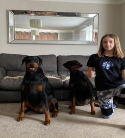 Pet Sitting Stevenage