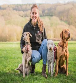 We Love Pets Stevenage – Dog Walker, Pet Sitter & Home Boarder