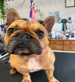 Bubbles and Barks Pet Grooming Romsey