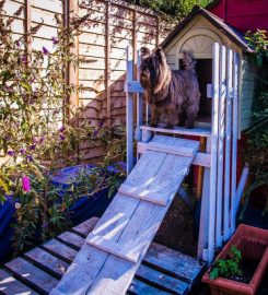 Just-Like-Home Dog Boarding & Daycare