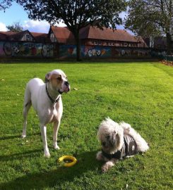 Dog Walking Manchester