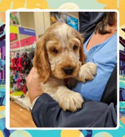 Pets at Home Trafford Park