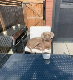 The Crate Escapes – Dog Walker & Pet ServicesTeddington