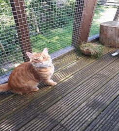 The Cattery, Fron Farm, Glan Conwy