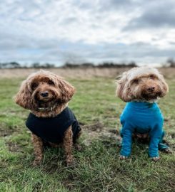 Two Of Us Dog Grooming