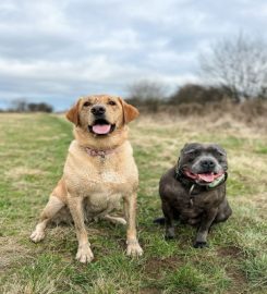 Two Of Us Dog Grooming