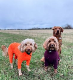 Two Of Us Dog Grooming